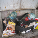 Recycling Sammelstelle WAAGE 2010 _28__jpg-1287320210
