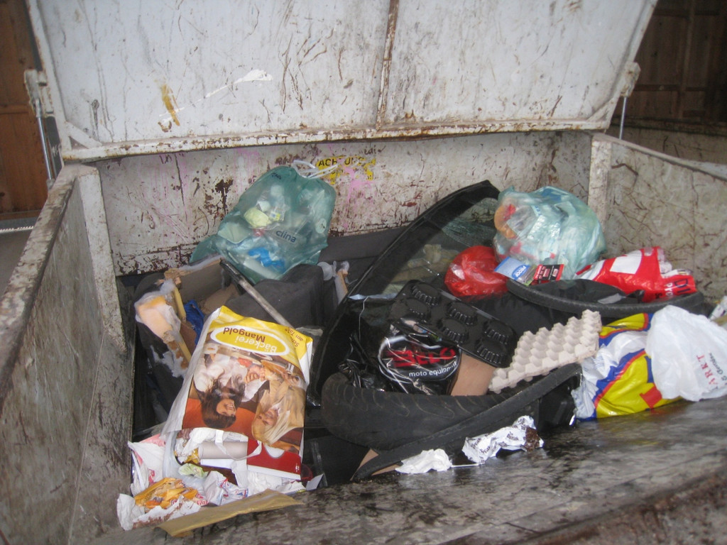 Recycling Sammelstelle WAAGE 2010 _28__jpg-1287320210