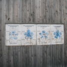 Recycling Sammelstelle WAAGE 2010 _29__jpg-1287320222