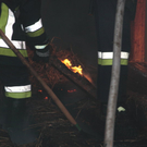 17102010brandzaunlehenfibaktivnews_018.jpg