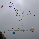 _A165490.jpg