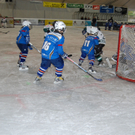 DSC_0424.JPG