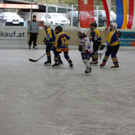 DSC_0458.JPG