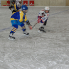 DSC_0460.JPG