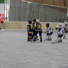 DSC_0466.JPG