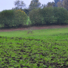 normal_16102010vubischofshofenmbaktivnews_20_12_.jpg