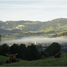 Hochland-Blick über Egg