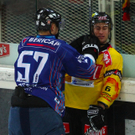 Capitals feiern gegen Fehervar einen Sieg