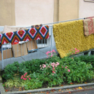 IMG_8589_JPG-1287352481