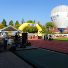 106_8503_jpg-1287354461