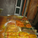 Tom_Rainer2010 396.JPG