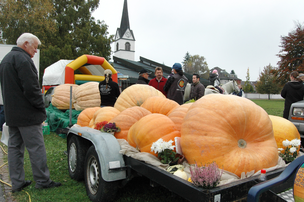 Markttag 3 - Riesenk__rbisse_jpg-1287389032