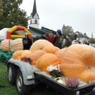 11. Markttag in Fußach am Nationalfeiertag, 26. 10.