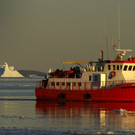 groenland_02.jpg