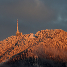 Gaisberg im Winter-Neumayr.jpg