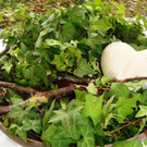 DSC01639.JPG