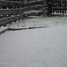 201010schneefallsfaktivnews001.JPG