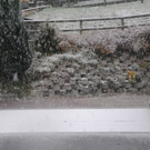 201010schneefallsfaktivnews010.JPG