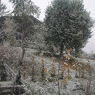 201010schneefallsfaktivnews012.JPG