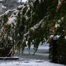 DSC09453_JPG-1287571894