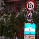 DSC09454_JPG-1287571933