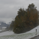 DSC09460_JPG-1287572076