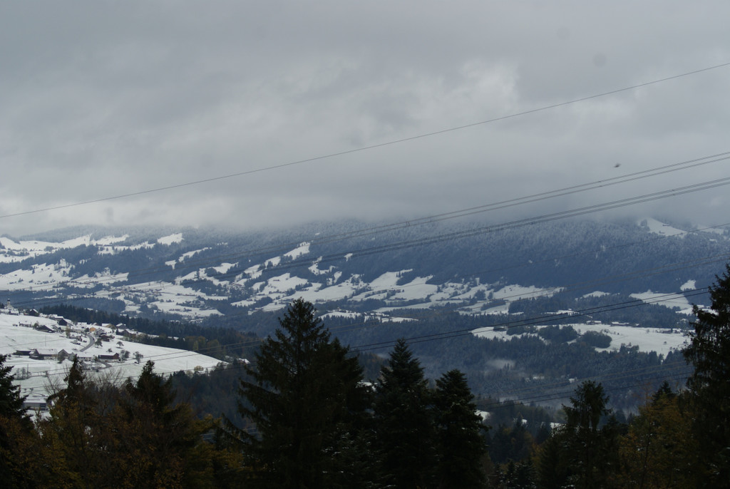 DSC09471_JPG-1287572148