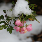 DSC09475_JPG-1287572227