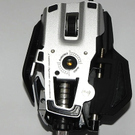 rat80.jpg