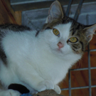 Tiere der Woche KW 42