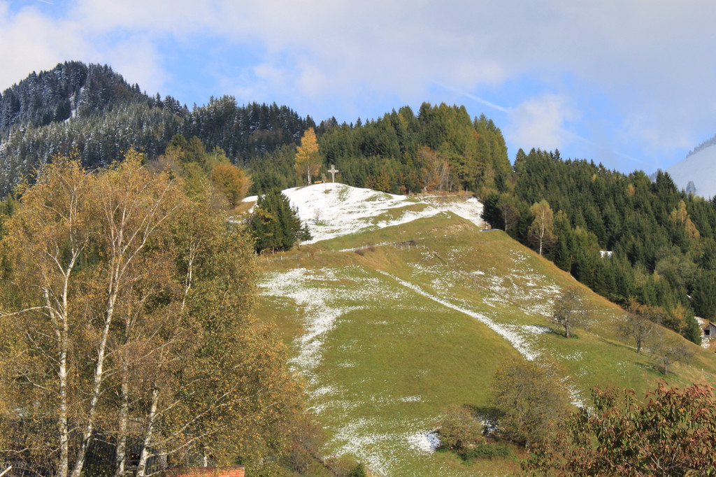 IMG_2736_1.jpg