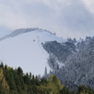 IMG_2746_1.jpg