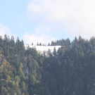 IMG_2750_1.jpg