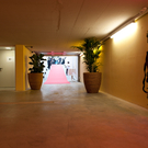 DSC_4177.jpg