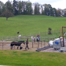 SH104767_JPG-1287814984