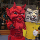 CIMG3620.JPG
