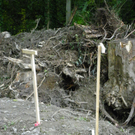 106_3377_jpg-1287819237