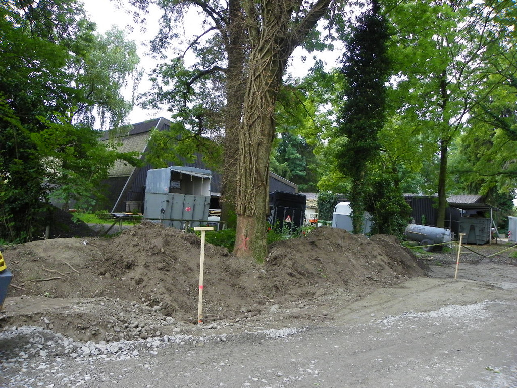 106_3378_jpg-1287819248