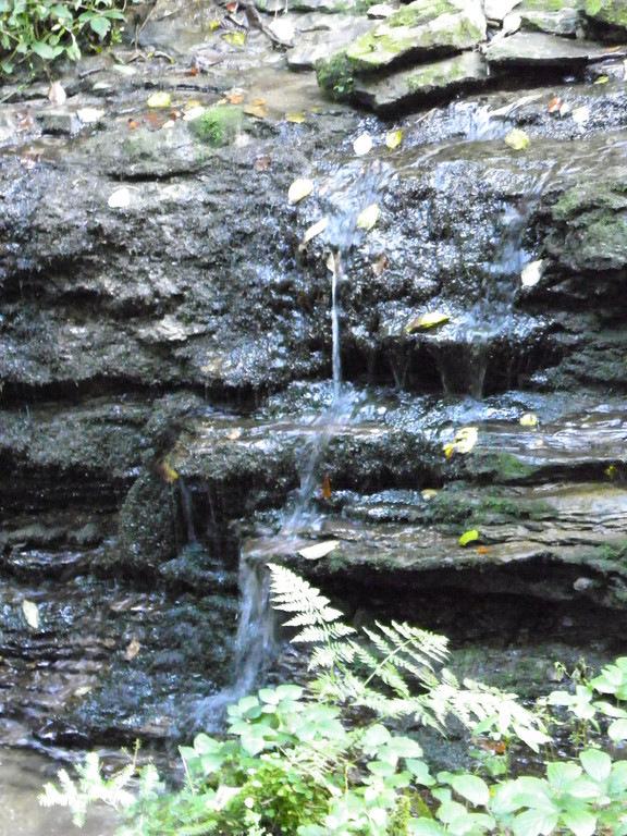106_7366_jpg-1287821492