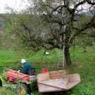 KOE_S__ssmost frisch 7_jpg-1287832932