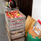 KOE_S__ssmost frisch 8_jpg-1287832938