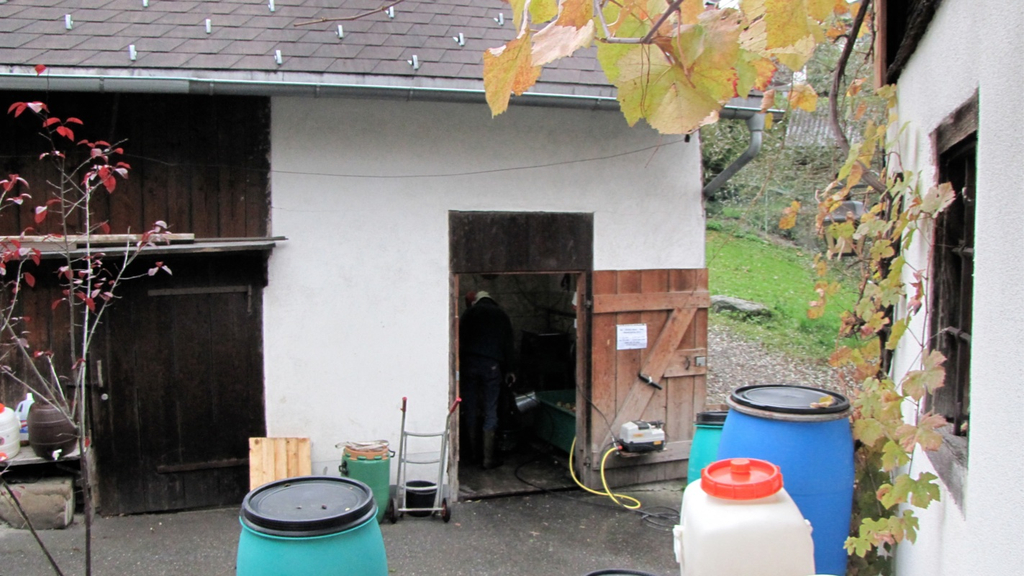 KOE_S__ssmost frisch 10_jpg-1287832955