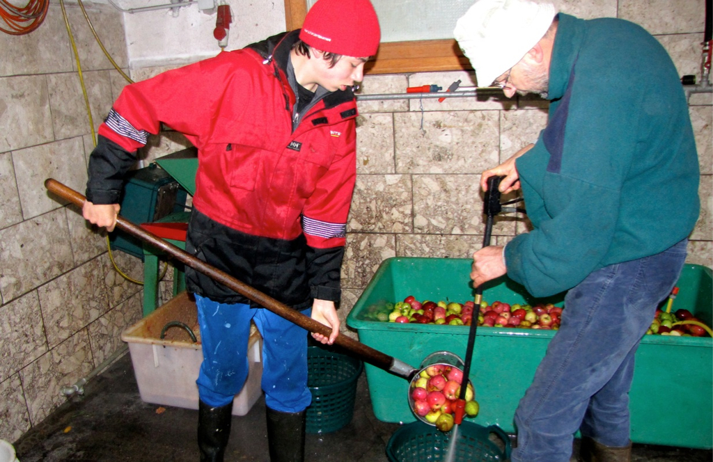 KOE_S__ssmost frisch 16_jpg-1287833006