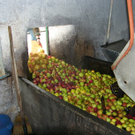 SH105050_JPG-1287844138