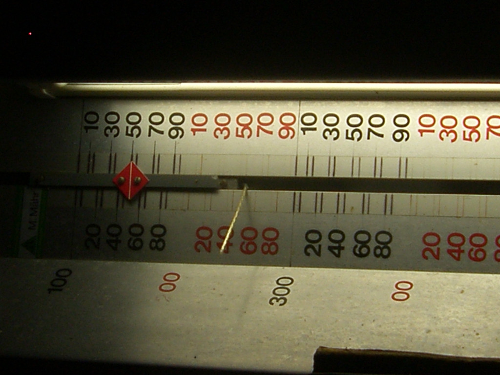 SH105073_JPG-1287843877