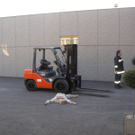 PA230012_JPG-1287866783
