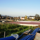 Baust_Garnmarkt 3.jpg