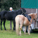 DSC03008_JPG-1287921744