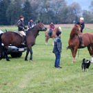 DSC03018_JPG-1287921804