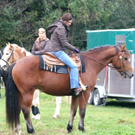 DSC03020_JPG-1287921818